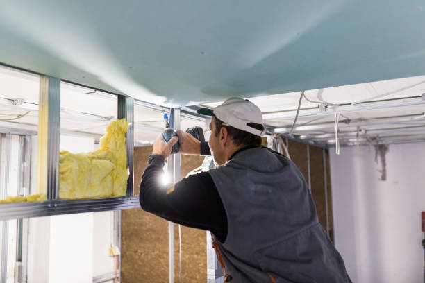 Best Commercial Insulation in Shamokin Dam, PA