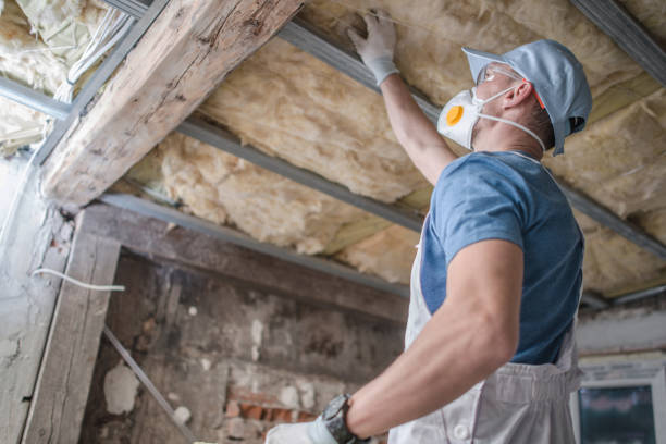 Best Insulation Installation Services in Shamokin Dam, PA